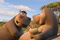 gloria l hippopotame