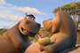 gloria l hippopotame