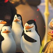 les pingoins dans madagascar 2