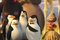 les pingoins dans madagascar 2