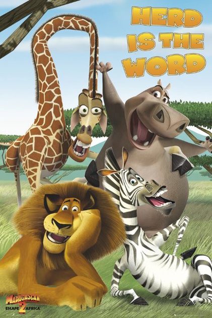 madagascar 2 herd is the word