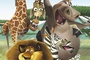madagascar 2 herd is the word