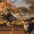 madagascar 2 photo