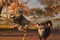 madagascar 2 photo
