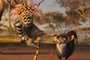 madagascar 2 photo