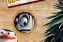 madagascar 2 - Madagascar 2 : la grande évasion
