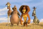 melman alex et marty