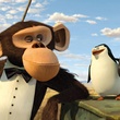 singe