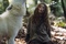 mathilde goffart 10 - Survivre avec les loups