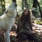 mathilde goffart 10 - Survivre avec les loups - Survivre avec les loups 