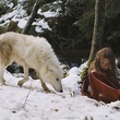 mathilde goffart 11 - Survivre avec les loups