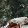 mathilde goffart 2 - Survivre avec les loups