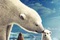 Affiche du film Arctic Tale