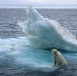 iceberg - Arctic Tale
