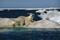 ours 3 - Arctic Tale