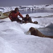 plongeur - Arctic Tale