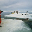 sarah robertson 3 - Arctic Tale