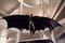 christian bale 7 - The Dark Knight, Le Chevalier Noir