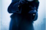 dark knight - The Dark Knight, Le Chevalier Noir