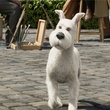 milou-jpg