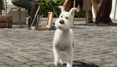 milou-jpg
