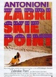 Affiche du film Zabriskie Point