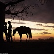 photo du film australia 2 - Australia