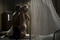 photo du film australia 3 - Australia