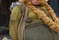 bombur-bilbo-le-hobbit-jpg