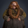 le-hobbit-un-voyage-inattendu4-jpg