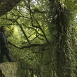 photo-de-bilbo-le-hobbit-jpg