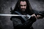 thorin-jpg