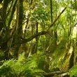 tournage-de-bilbo-le-hobbit-un-voyage-inattendu-jpg