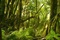 tournage-de-bilbo-le-hobbit-un-voyage-inattendu-jpg