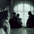 chat