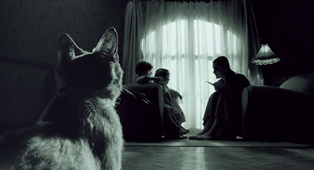 chat
