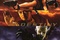 affiche1 - Dragonball Evolution