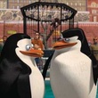 deux pingouins