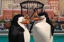 deux pingouins