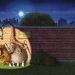 les animaux fyuants