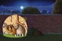 les animaux fyuants