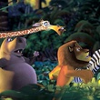 melman gloria alex marty fuyant