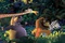 melman gloria alex marty fuyant