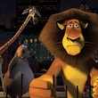 melman gloria marty