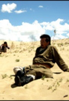 Affiche miniature du film Desert Dream