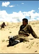 Affiche du film Desert Dream