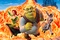Affiche du film Shrek