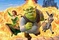 Affiche du film Shrek