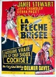 Affiche du film La Flèche brisée