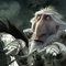 chasseurs de dragons 01 - Chasseurs de dragons - Chasseurs de dragons 
